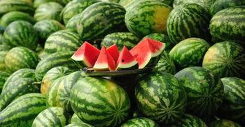 河北铺吃瓜最新事件爆料,最新爆料揭秘惊人内幕